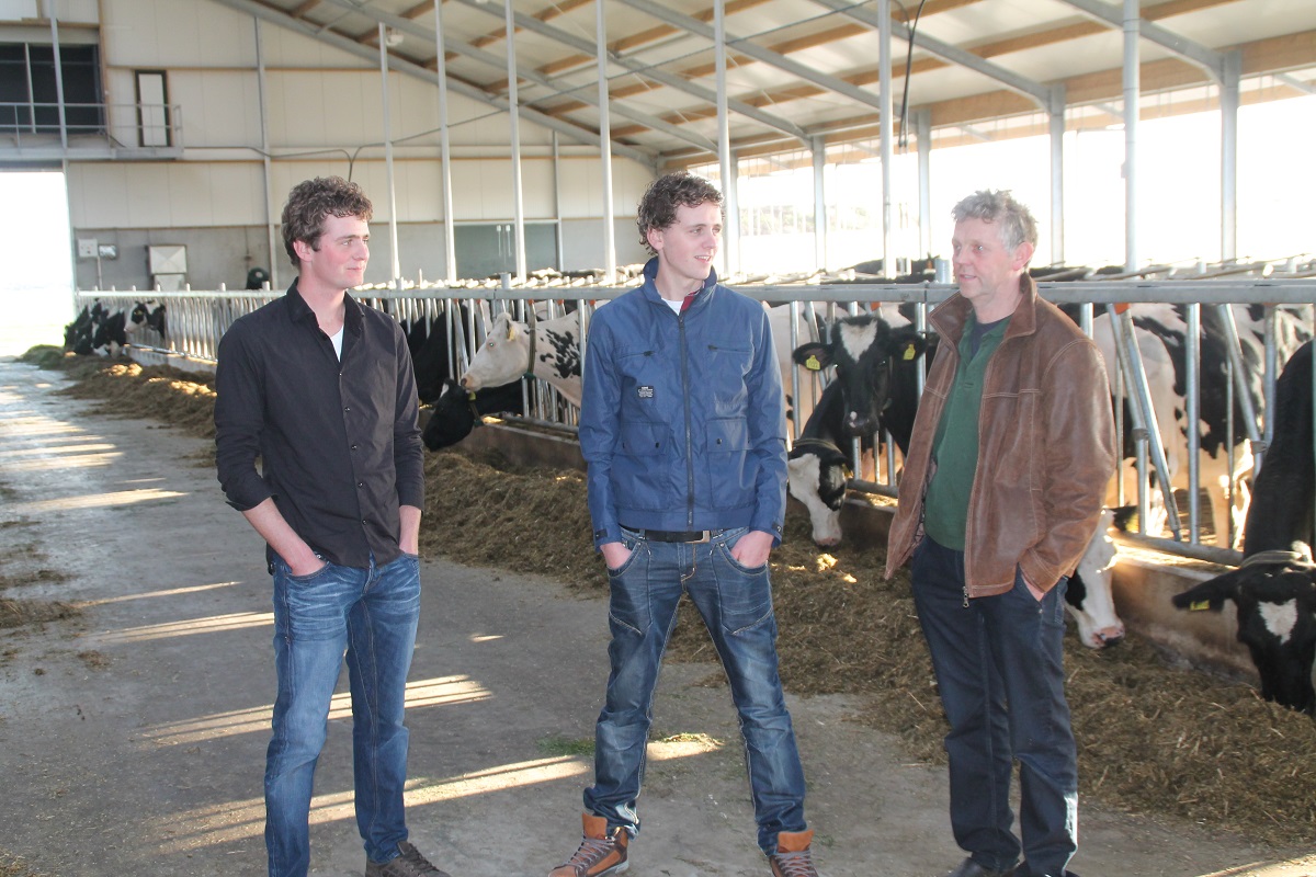 stallenbouw-koeien-stal-nieuwbouw